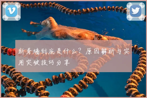 新秀墙到底是什么?原因解析与实用突破技巧分享